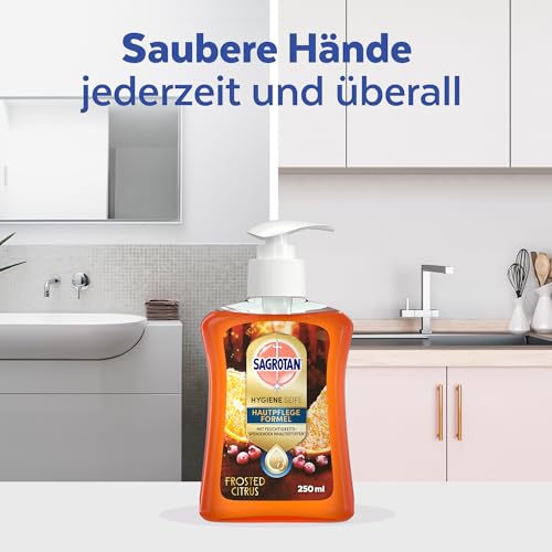 Sagrotan Handseife Winter Limited Edition – Feuchtigkeitsspendend, Frosted Citrus Duft – Perfekt für die kalte Jahreszei