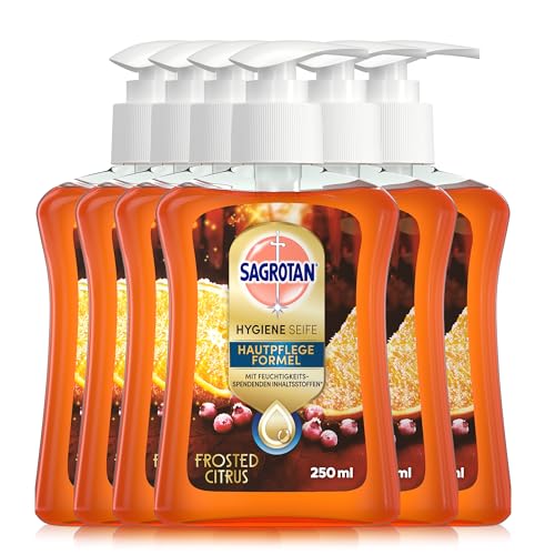 Sagrotan Handseife Winter Limited Edition – Feuchtigkeitsspendend, Frosted Citrus Duft – Perfekt für die kalte Jahreszei